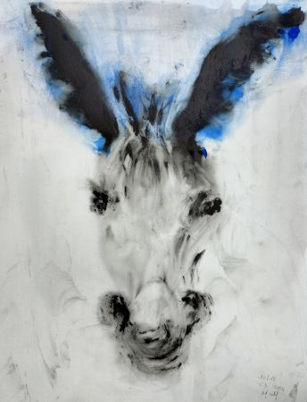 1000014152 1000014152