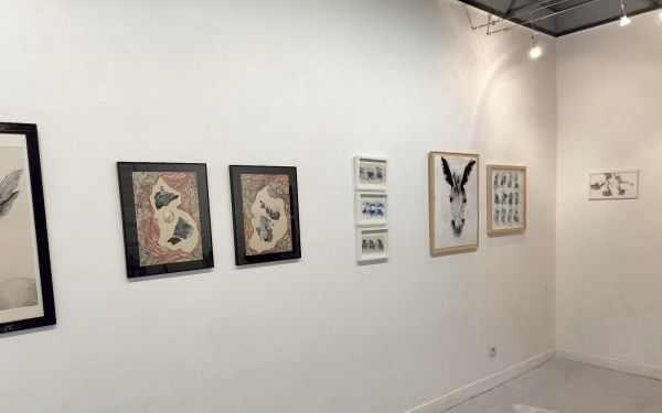 1000014181 1000014181