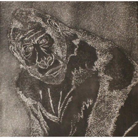 11394 1520696229 522 11394 800x800 11394 1520696229 522 11394 800x800