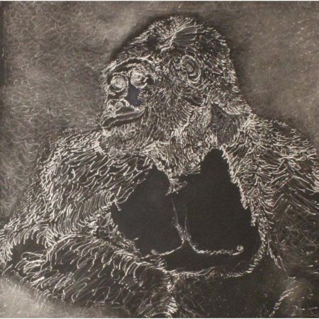 11446 1520696231 410 11446 800x800 11446 1520696231 410 11446 800x800