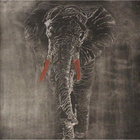 11473 1520696233 531 11473 800x800 11473 1520696233 531 11473 800x800