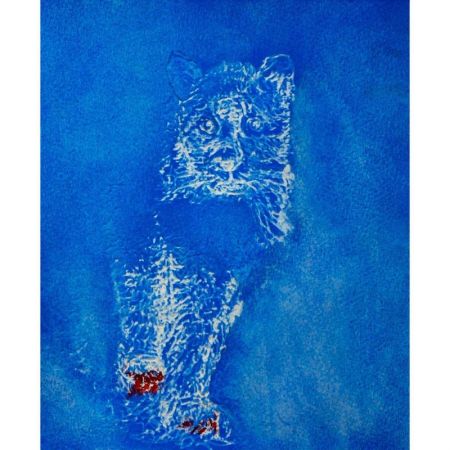 11675 1520696256 32 11675 800x800 11675 1520696256 32 11675 800x800