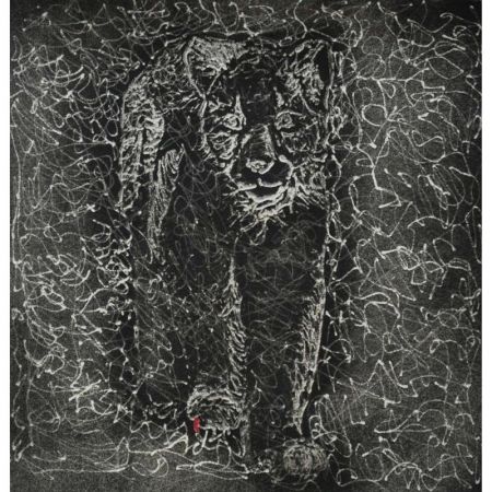 11745 1520696259 684 11745 800x800 11745 1520696259 684 11745 800x800