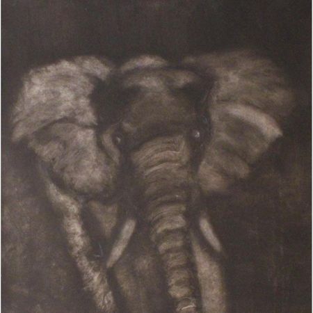 11941 1520696266 194 11941 800x800 11941 1520696266 194 11941 800x800