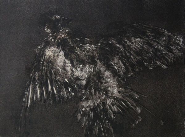 27428 1567442497 533 27428 1000x738 27428 1567442497 533 27428 1000x738