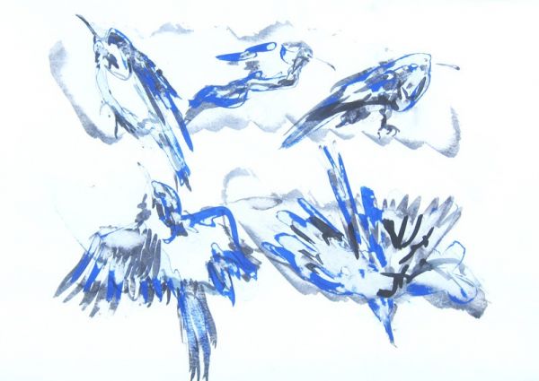 IMG 0059 800x567 IMG 0059 800x567