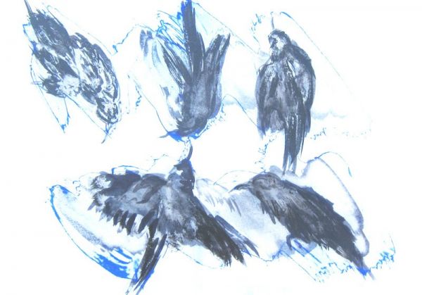 IMG 0060 800x558 IMG 0060 800x558