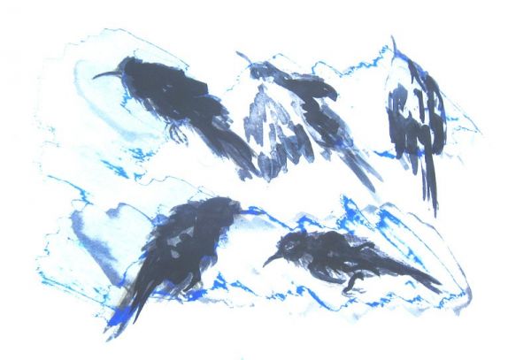 IMG 0061 800x543 IMG 0061 800x543