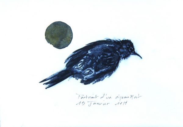 IMG 0062 800x559 IMG 0062 800x559