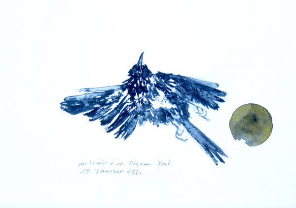 IMG 0064 800x561 IMG 0064 800x561