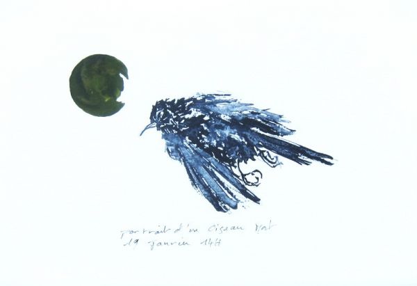 IMG 0065 800x548 IMG 0065 800x548