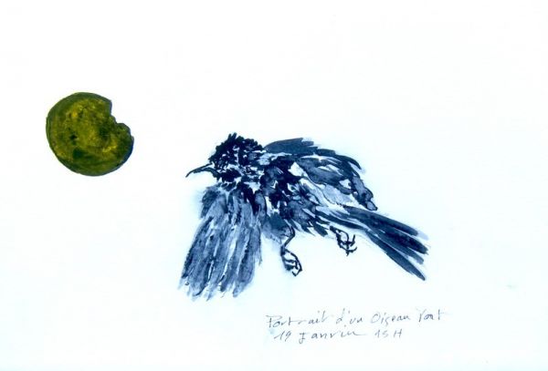 IMG 0066 800x543 IMG 0066 800x543