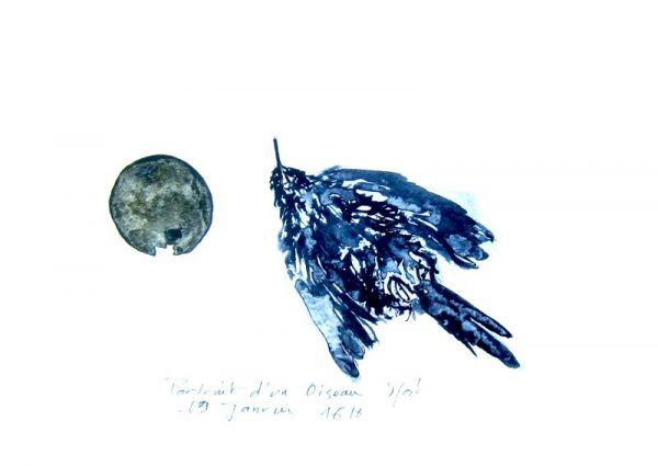 IMG 0067 800x566 IMG 0067 800x566