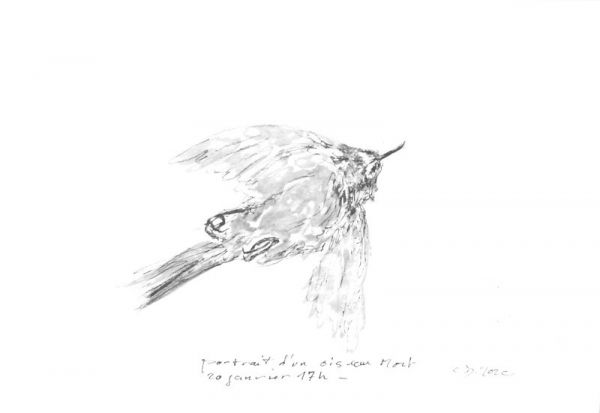 IMG 0068 800x551 IMG 0068 800x551