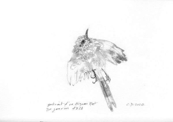 IMG 0069 800x565 IMG 0069 800x565