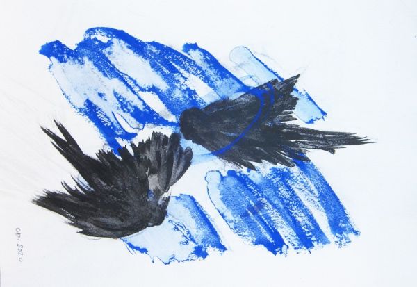 IMG 0073 800x551 IMG 0073 800x551