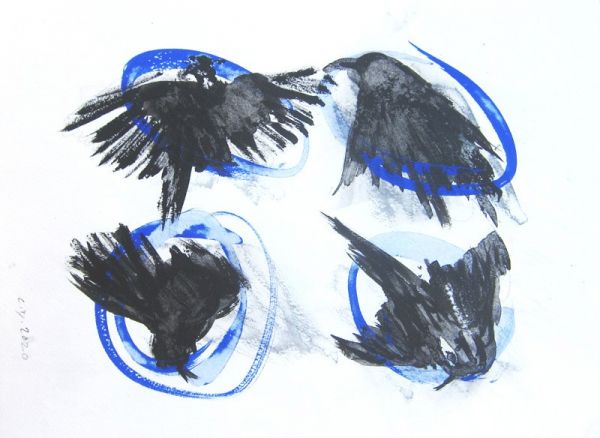 IMG 0074 800x584 IMG 0074 800x584