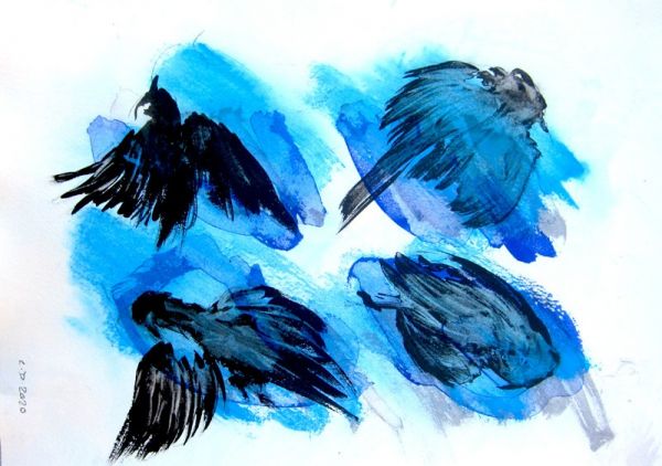 IMG 0076 800x563 IMG 0076 800x563