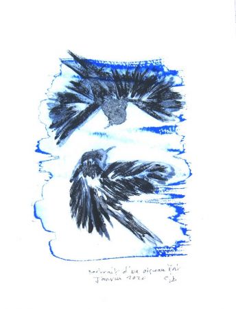 IMG 0081 611x800 IMG 0081 611x800