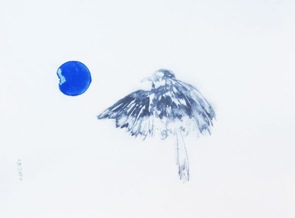 IMG 0082 800x590 IMG 0082 800x590