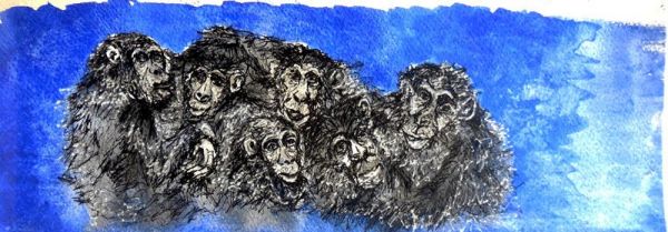 28362 1567442942 140 28362 800x279 28362 1567442942 140 28362 800x279