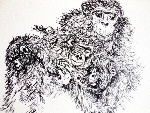 28505 1567443006 461 28505 800x600 28505 1567443006 461 28505 800x600