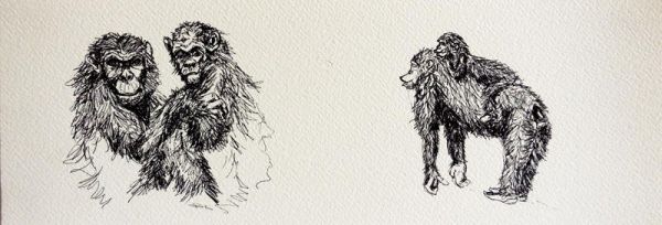 29028 1567443246 241 29028 800x272 29028 1567443246 241 29028 800x272