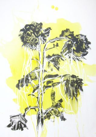 IMG 0111 563x800 IMG 0111 563x800