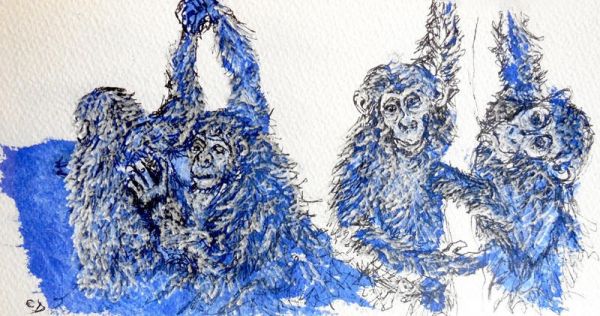 28580 1567443037 460 28580 800x421 28580 1567443037 460 28580 800x421