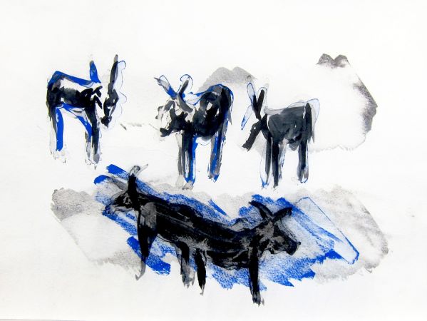 0 IMG 0066 0 IMG 0066