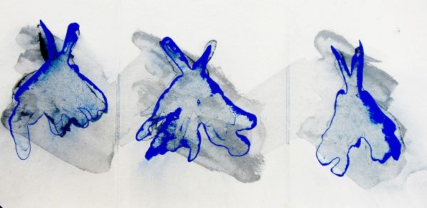 0 IMG 0071 0 IMG 0071