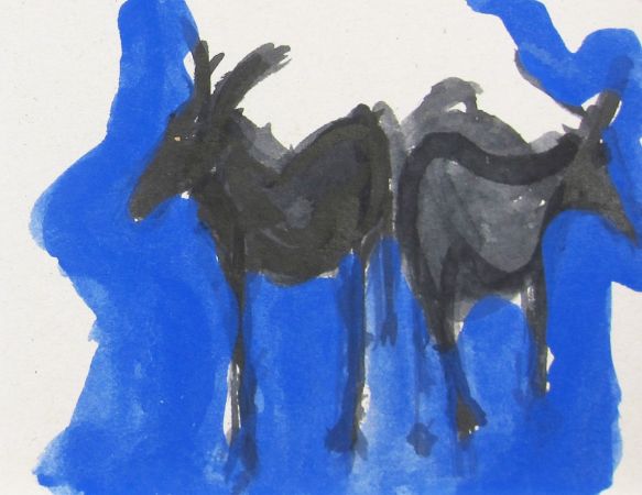 0 IMG 0075 0 IMG 0075