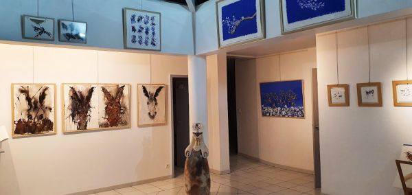 expo claire dumonteil expo claire dumonteil