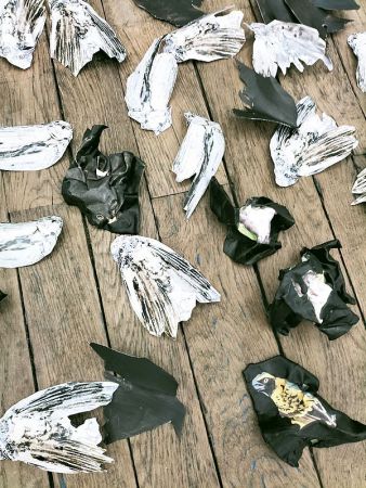 expo poids plume 10 expo poids plume 10