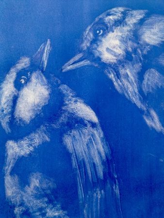 expo poids plume 12 expo poids plume 12