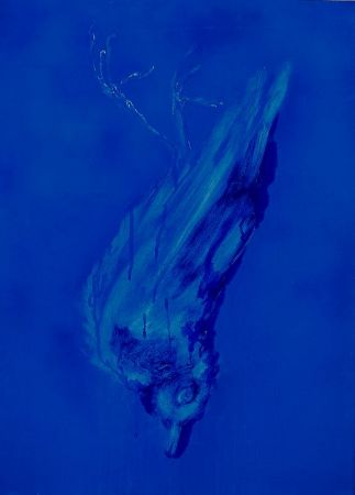 expo poids plume 13 expo poids plume 13