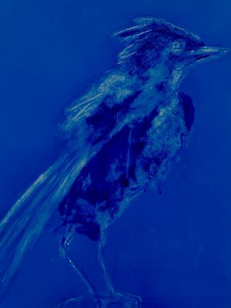 expo poids plume 14 expo poids plume 14