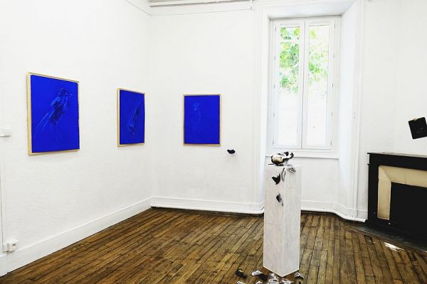 expo poids plume 3 expo poids plume 3