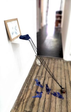 expo poids plume 5 expo poids plume 5