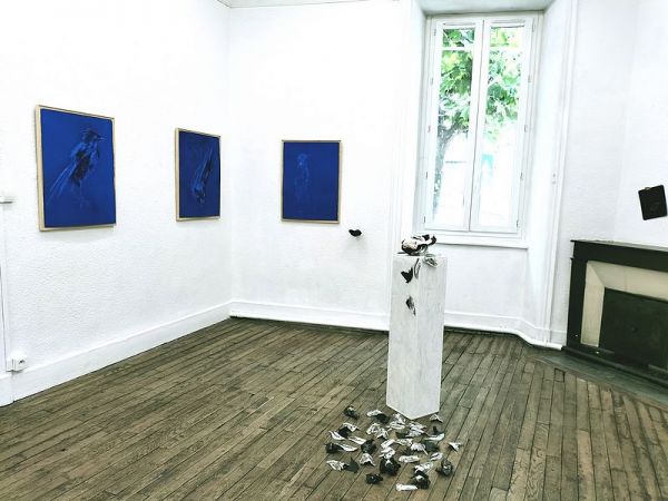 expo poids plume 8 expo poids plume 8