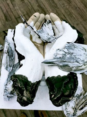 expo poids plume 9 expo poids plume 9