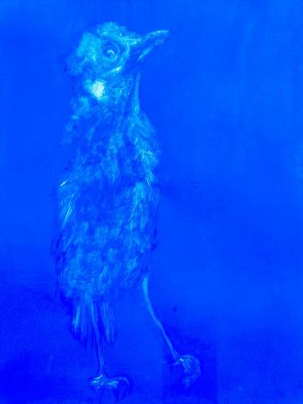 expo poids plume 15 expo poids plume 15