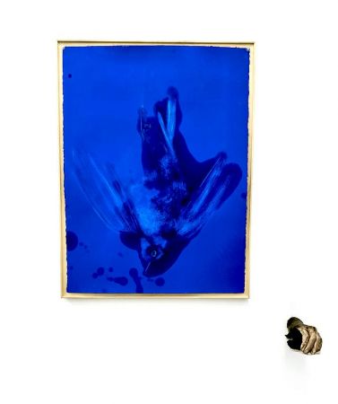 expo poids plume 16 expo poids plume 16