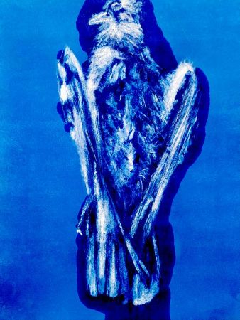 expo poids plume 17 expo poids plume 17