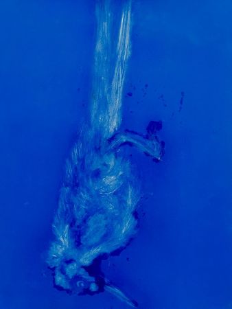 expo poids plume 18 expo poids plume 18