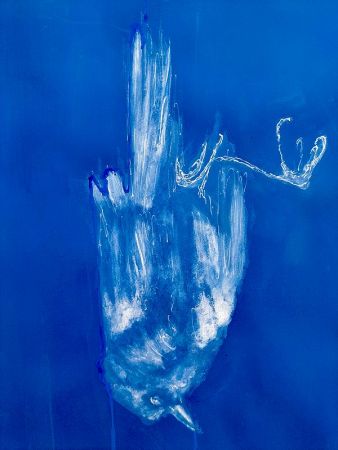 expo poids plume 19 expo poids plume 19