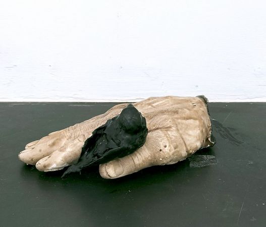 expo poids plume 21 expo poids plume 21