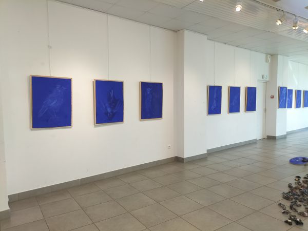 img20230315155203 img20230315155203