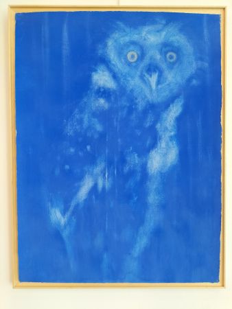 img20230315155247 img20230315155247