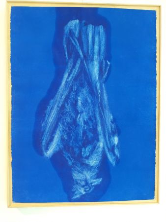 img20230315155310 img20230315155310